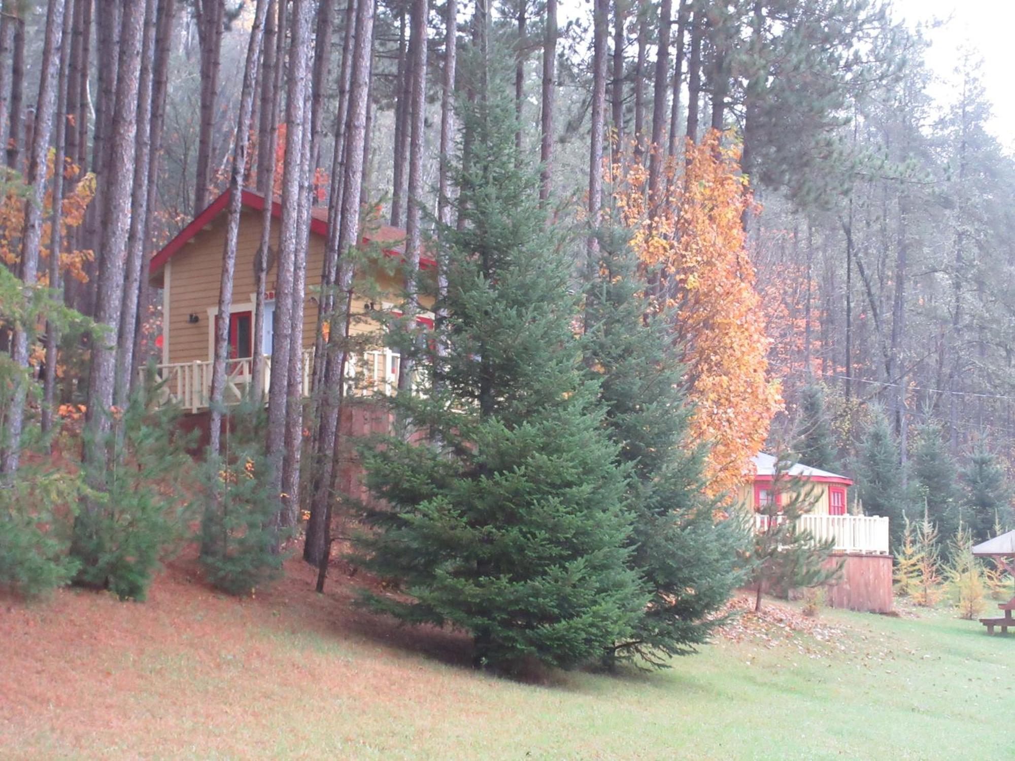La Maison Sous Les Arbres Saint Roch de Mekinac Exterior foto