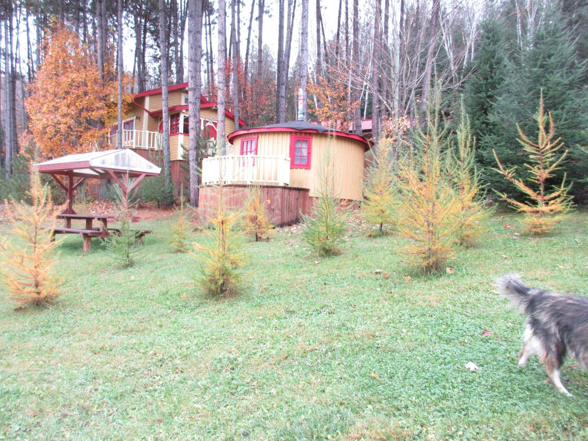 La Maison Sous Les Arbres Saint Roch de Mekinac Exterior foto