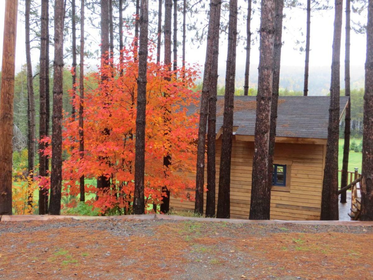 La Maison Sous Les Arbres Saint Roch de Mekinac Exterior foto